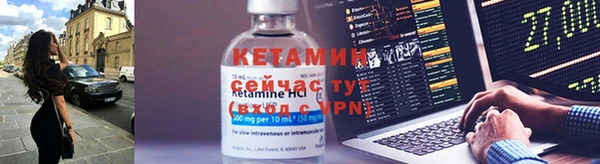 прущие грибы Ладушкин