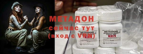 прущие грибы Ладушкин