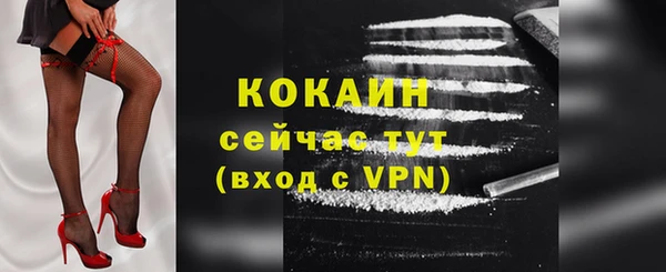 прущие грибы Ладушкин