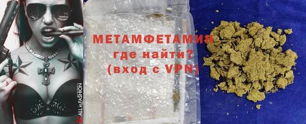 прущие грибы Ладушкин