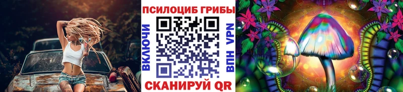 mega онион  Палласовка  Псилоцибиновые грибы прущие грибы 
